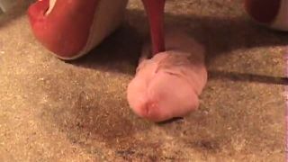 Cock and Balls Trampling