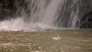 Celebrity Porn Videos