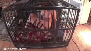 Collection of cage